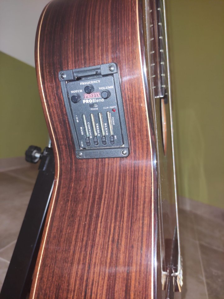 Antonio Aparicio AA300-E + Fishman Prefix Pro Blend | Española electrificada de nivel