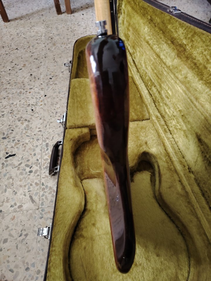 Ibanez Musician MC900 1979 Sting