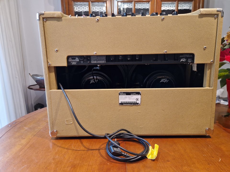 Peavey classic 50w 2x12