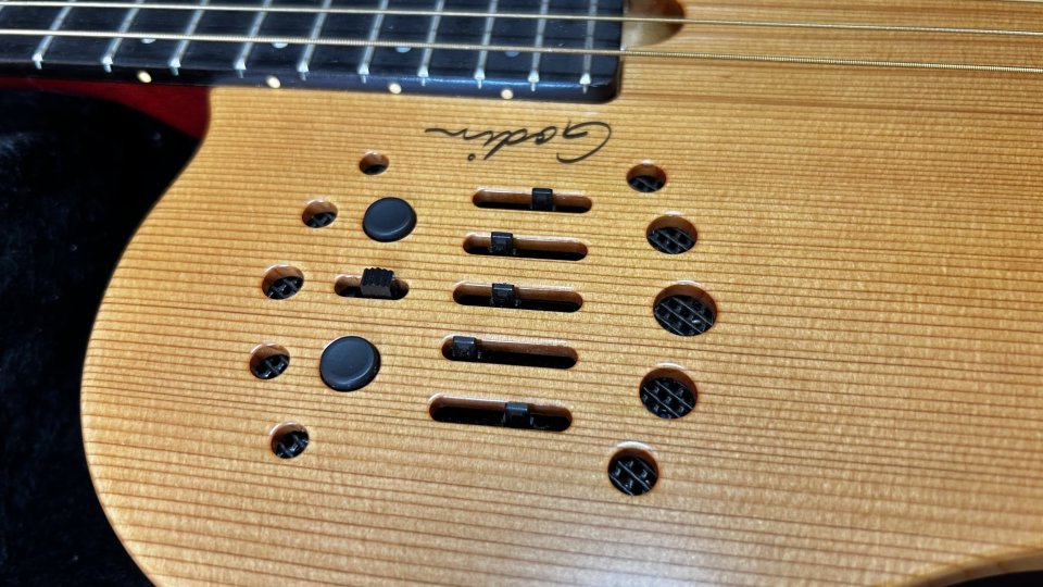 Godin ACS-SA Guitarra Nylon Alta Gama de segunda mano · Foto 7 de 10 · Segovia · 1400 €