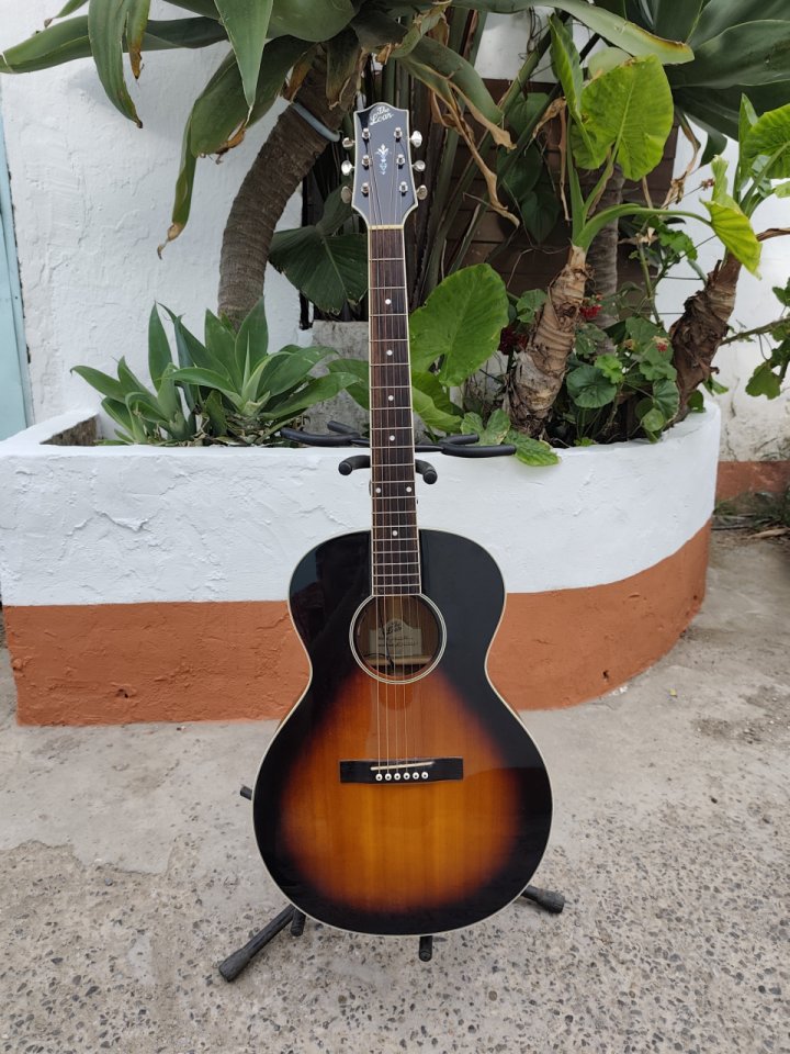 The Loar LH-250-SN + LR Baggs Lyric de segunda mano · Foto 2 de 5 · Cádiz · 400 €