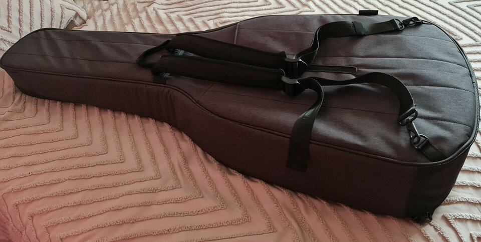 Estuche gama alta bajo caja o acústico Ritter BERN Acoustic Bass ANT