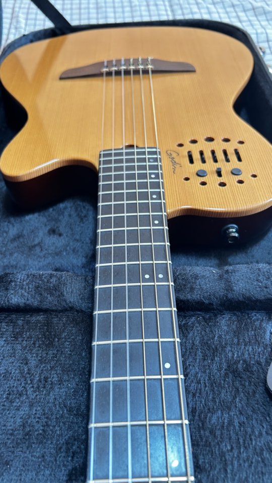 Godin ACS-SA Guitarra Nylon Alta Gama de segunda mano · Foto 6 de 10 · Segovia · 1400 €
