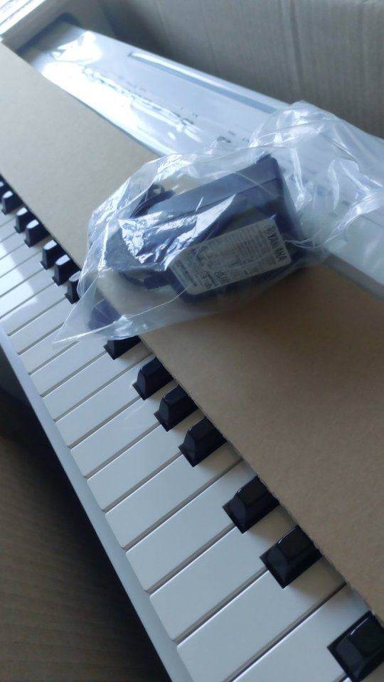 Yamaha P125wh + Accesorios