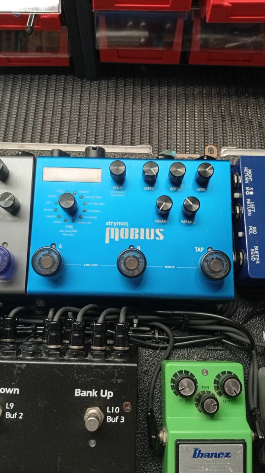 Strymon mobius