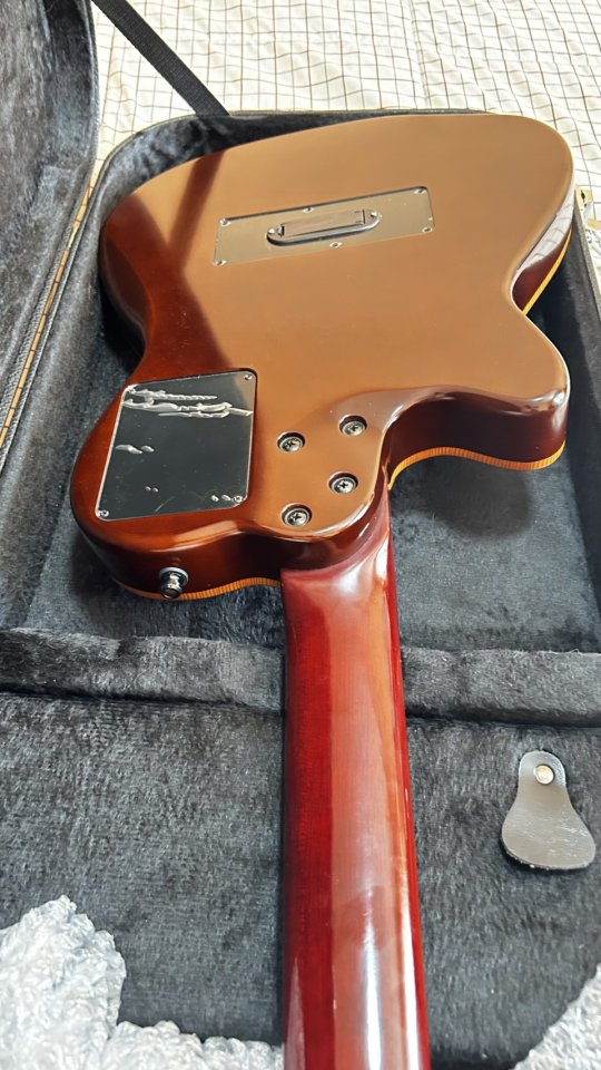 Godin ACS-SA Guitarra Nylon Alta Gama de segunda mano · Foto 10 de 10 · Segovia · 1400 €