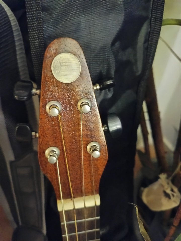 Ukelele Red Special - Brian May