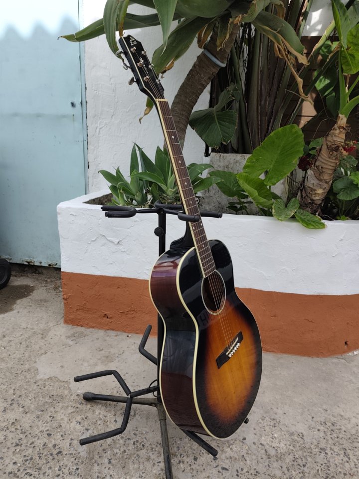 The Loar LH-250-SN + LR Baggs Lyric de segunda mano · Foto 3 de 5 · Cádiz · 400 €