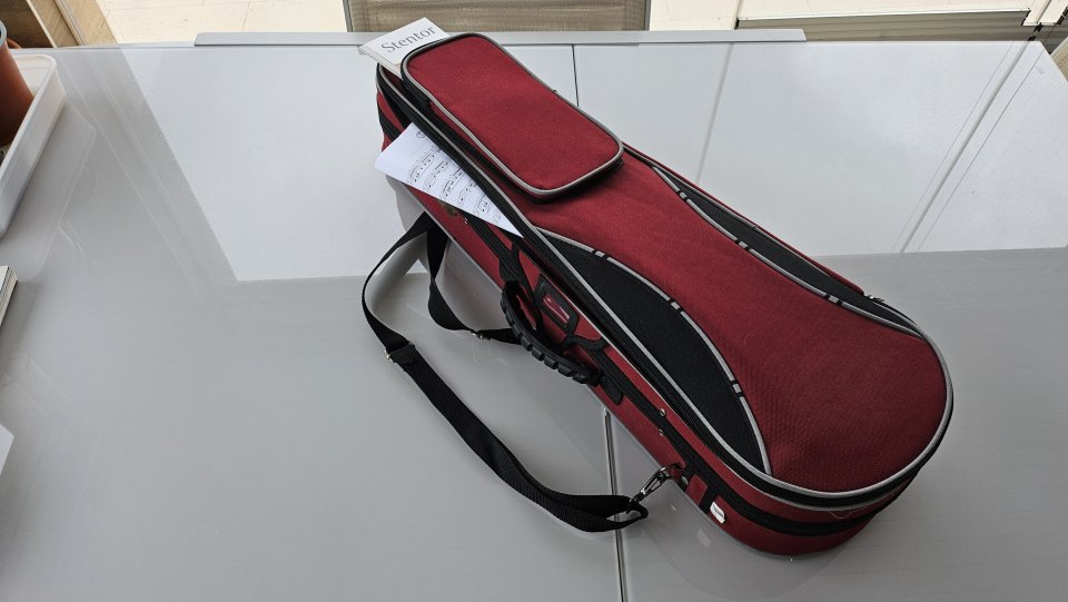 Violín Stentor con almohadilla y estuche de segunda mano · Foto 10 de 10 · Almería · 170 €