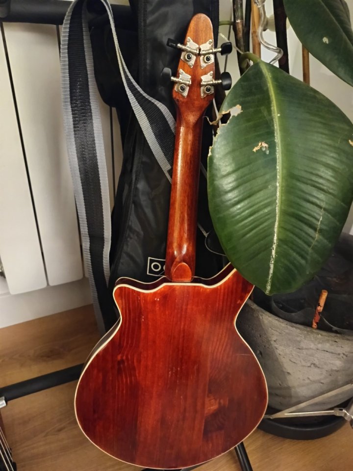 Ukelele Red Special - Brian May