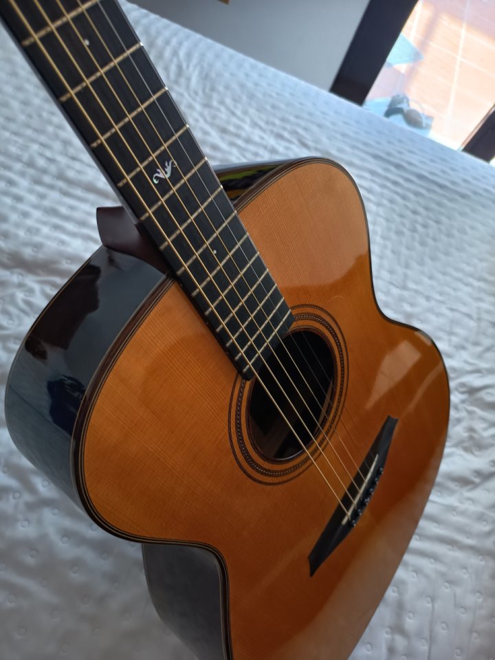Guitarra Mayson MS5 de segunda mano · Foto 9 de 10 · Zaragoza · 600 €