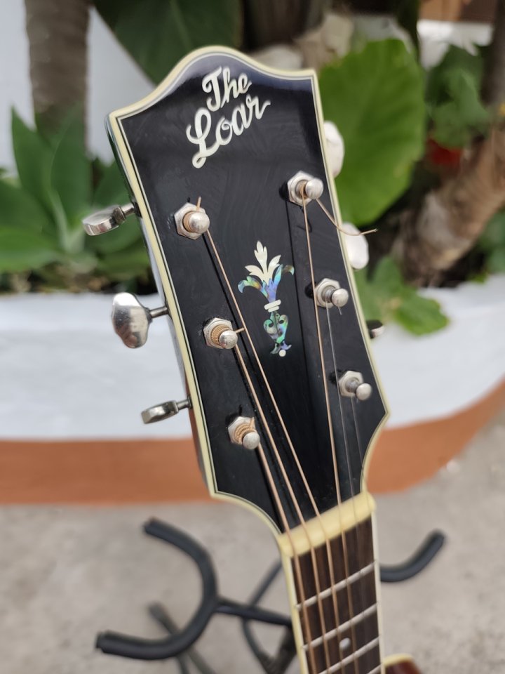 The Loar LH-250-SN + LR Baggs Lyric de segunda mano · Foto 4 de 5 · Cádiz · 400 €
