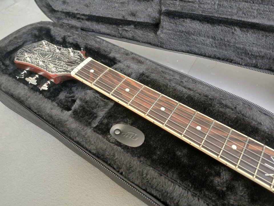 Teye USA Magpie Salute Rich Robinson