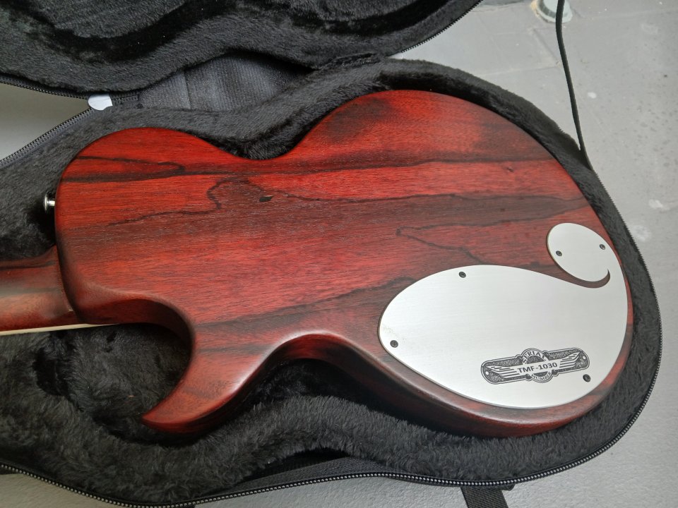 Teye USA Magpie Salute Rich Robinson