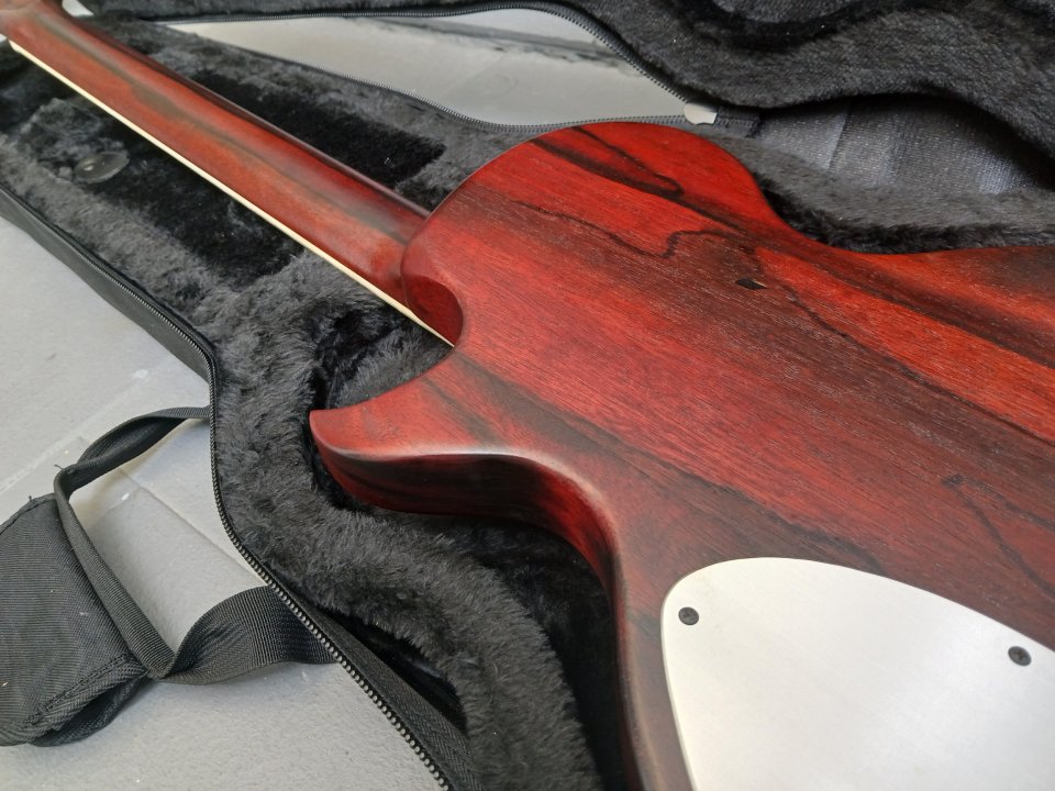 Teye USA Magpie Salute Rich Robinson