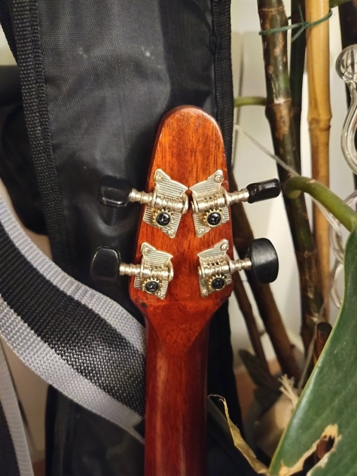 Ukelele Red Special - Brian May