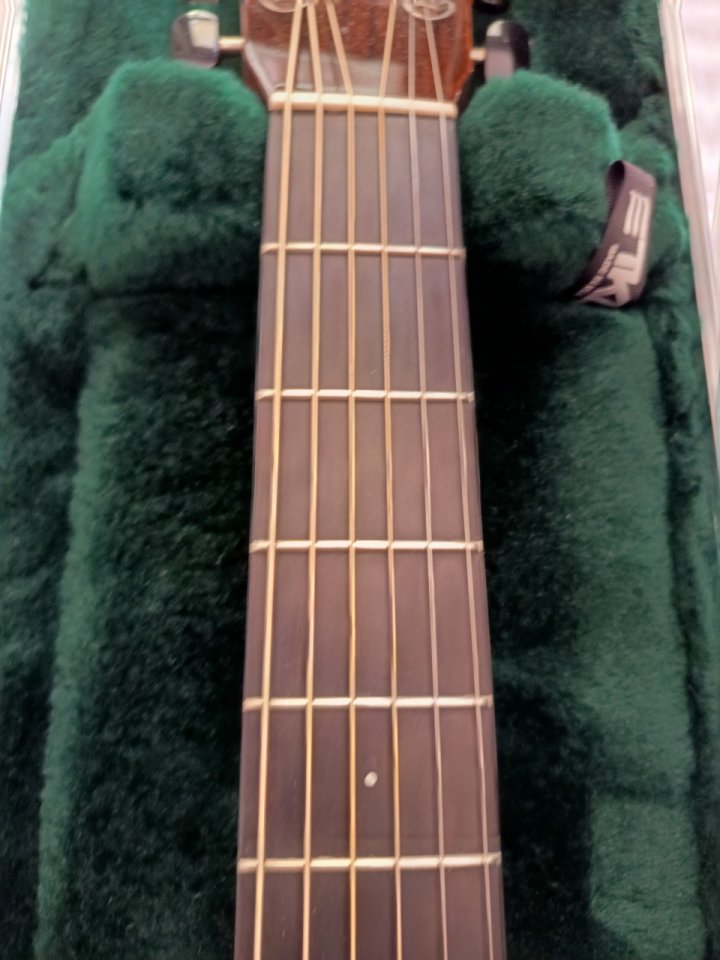 Guitarra Mayson MS5 de segunda mano · Foto 5 de 10 · Zaragoza · 600 €