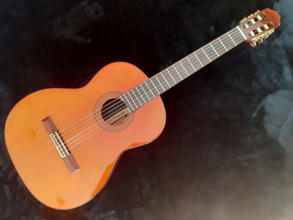 Selmer SD300 de 1974