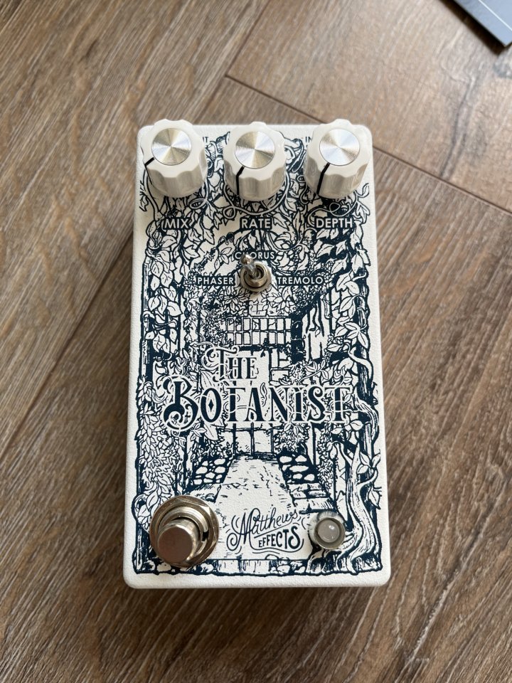 Matthews Effects The Botanist