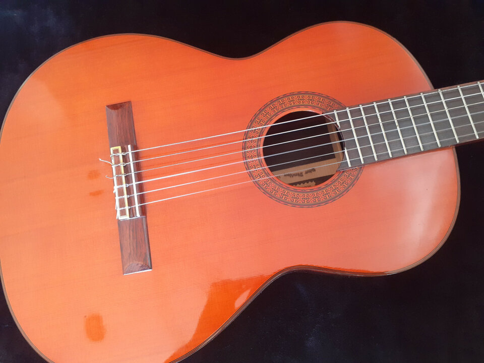 Selmer SD300 de 1974