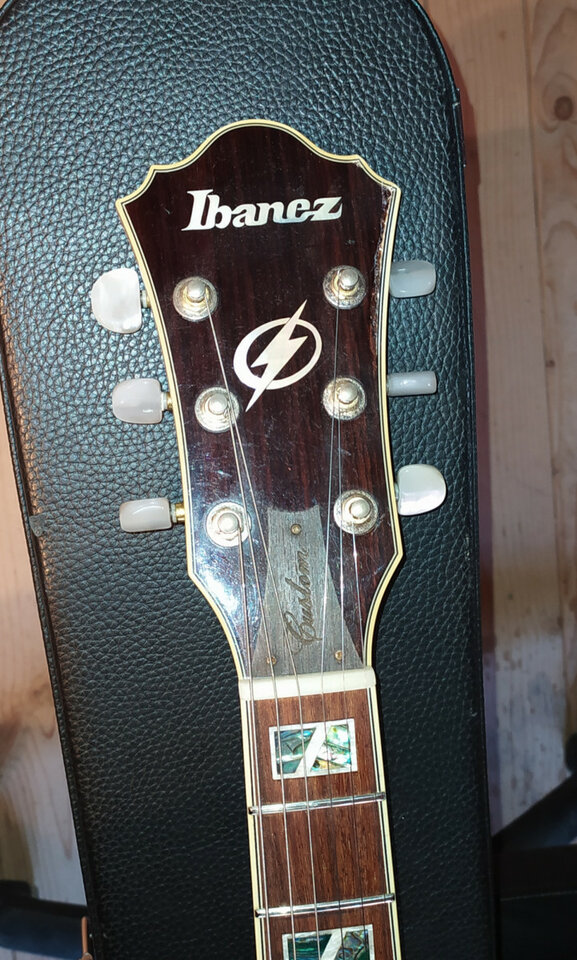 Ibanez AF105 CUSTOM