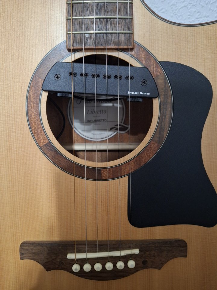 Guitarra electroacústica HartWood Libretto (pastilla SEYMOUR DUNCAN-Magic Mic)