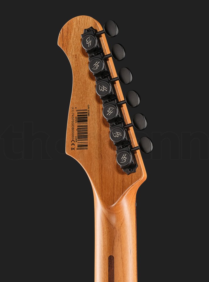 Harley Benton ST-Modern HH DS de segunda mano · Foto 4 de 7 · Madrid · 110 €