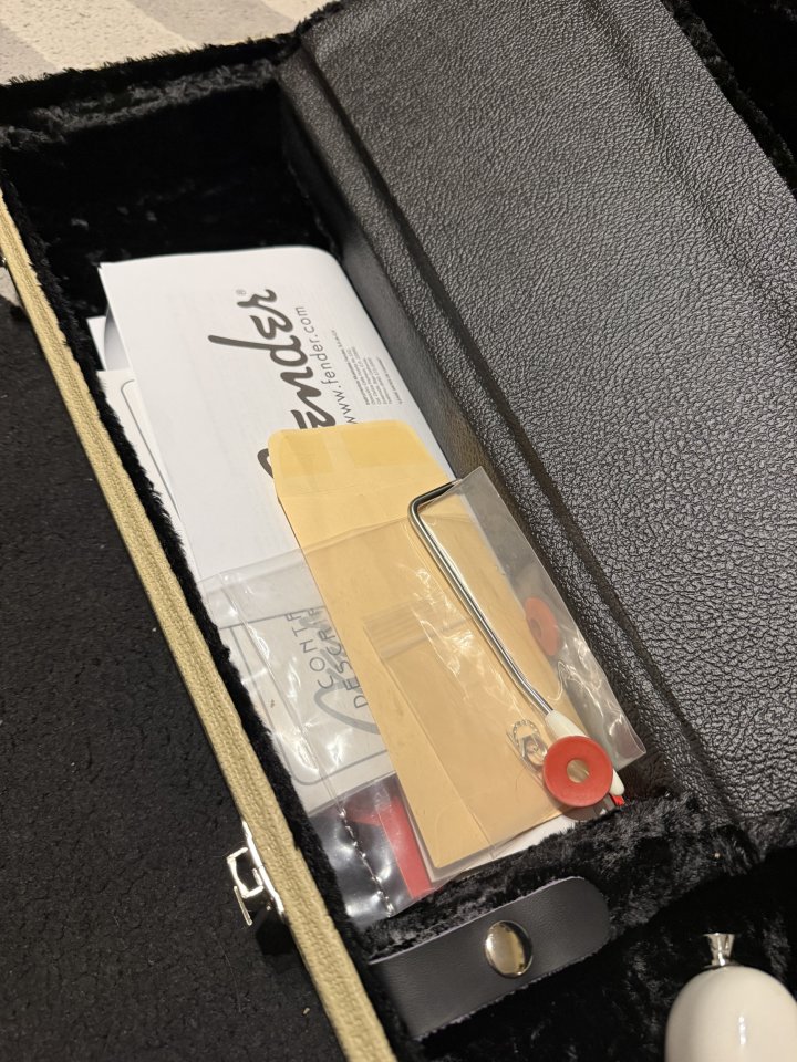 Fender stratocaster signature Eric Johnson