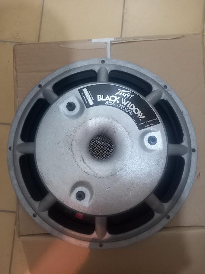 Altavoces 15 y etapa