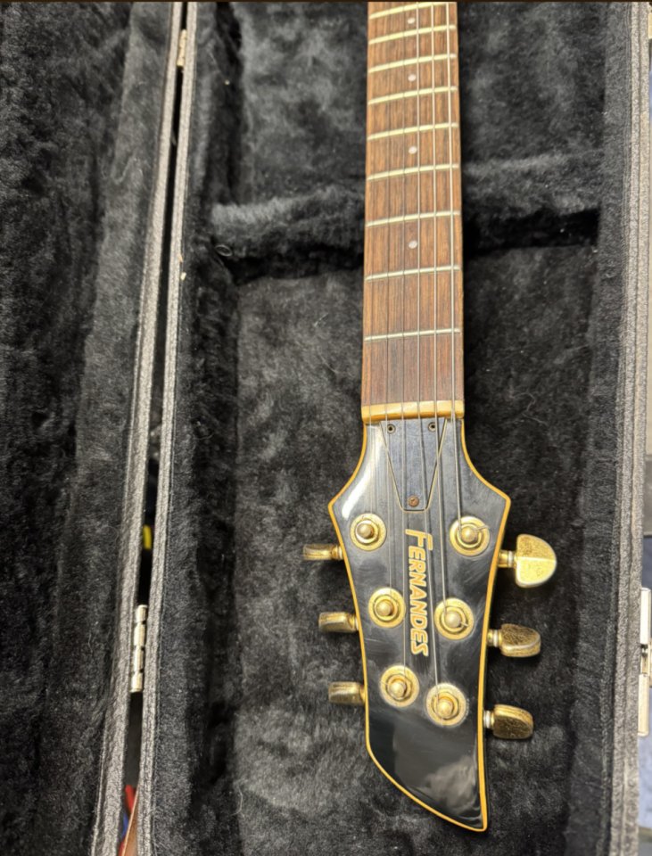 Fernandes APG 100 Premium MIJ