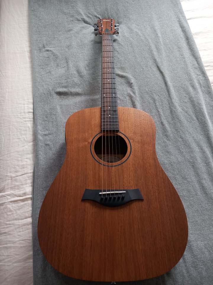Taylor BBTE walnut electroacustica