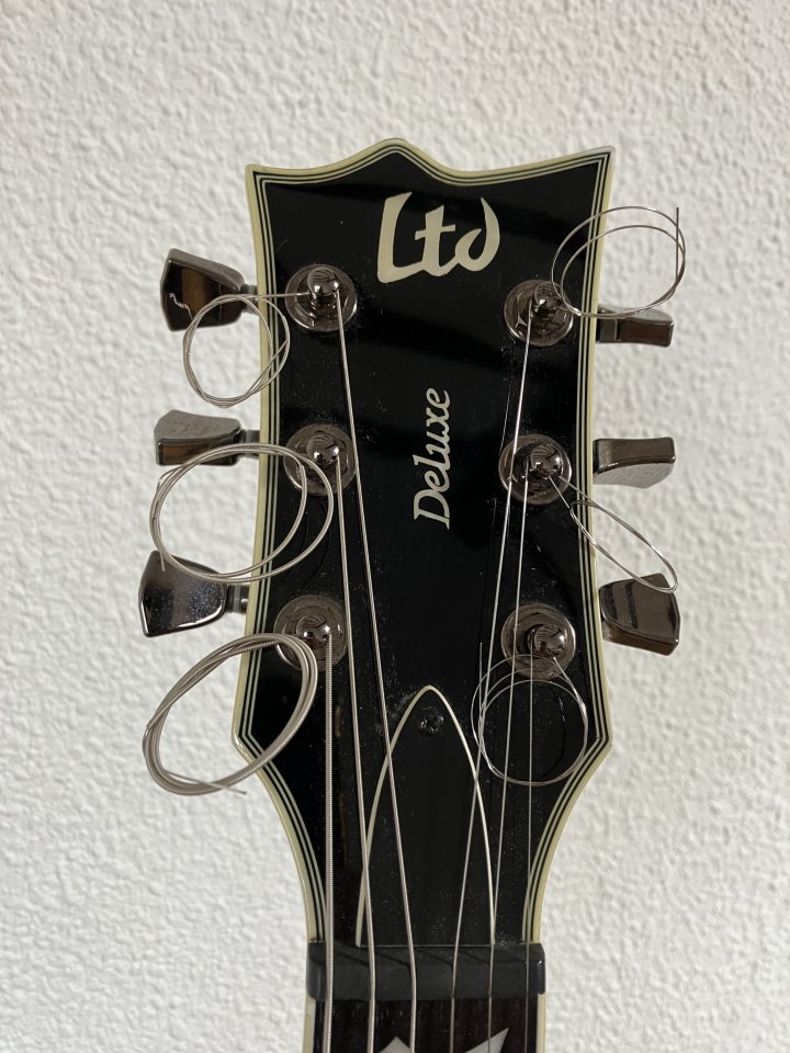 ESP LTD EC-1000