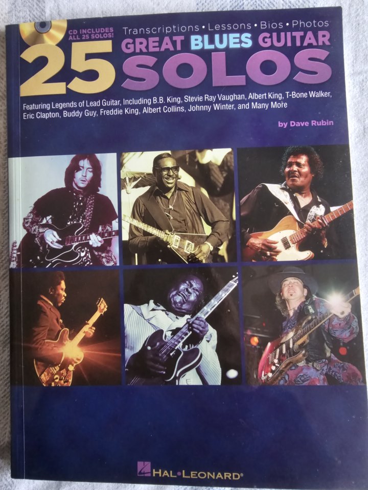 Dave Rubin: 25 Great Blues Guitar Solos - Lessons, Bios And Photos
