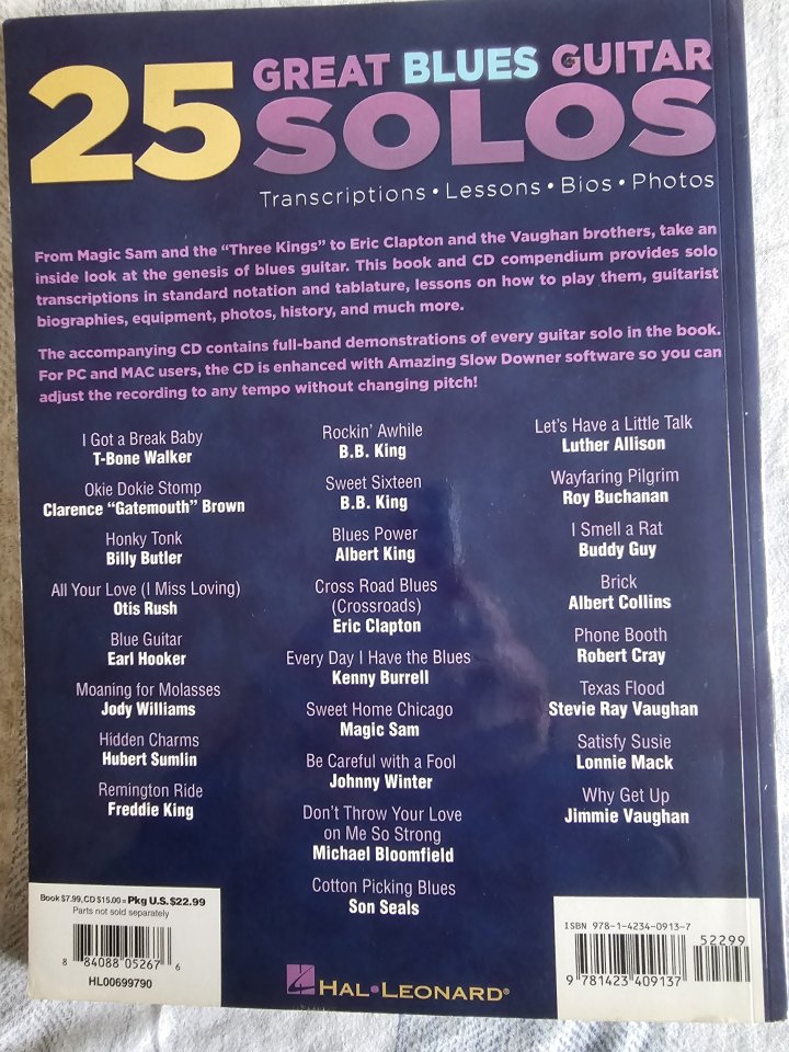 Dave Rubin: 25 Great Blues Guitar Solos - Lessons, Bios And Photos