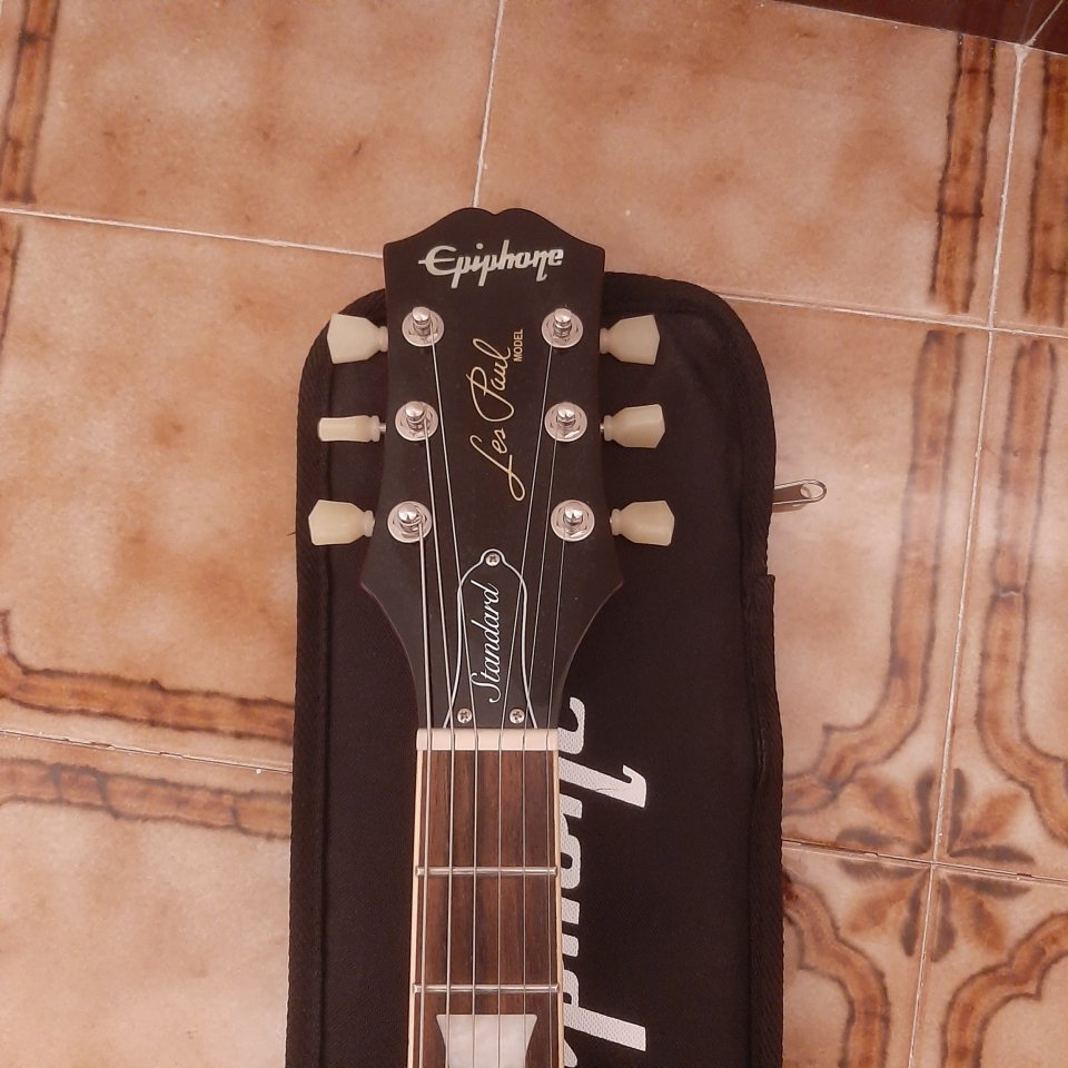 Guitarra electrica Ephipone les Paul standard 50S