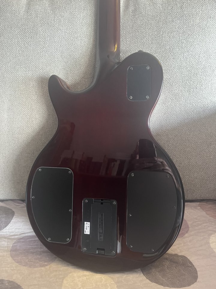 James Tyler Variax + Seymour Duncan Jazz/JB de segunda mano · Foto 5 de 5 · Alicante · 900 €
