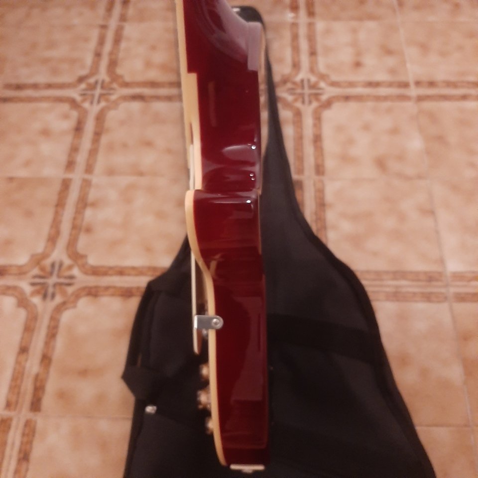 Guitarra electrica Ephipone les Paul standard 50S