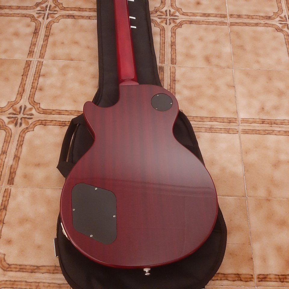 Guitarra electrica Ephipone les Paul standard 50S