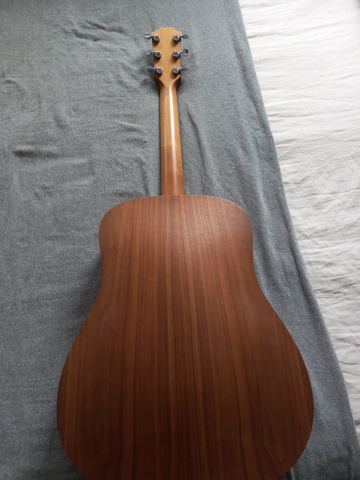 Taylor BBTE walnut electroacustica