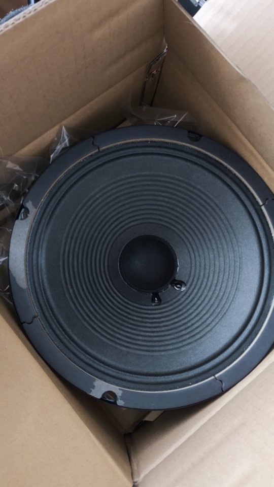 2 altavoces Orange 16 ohm 40w 10"