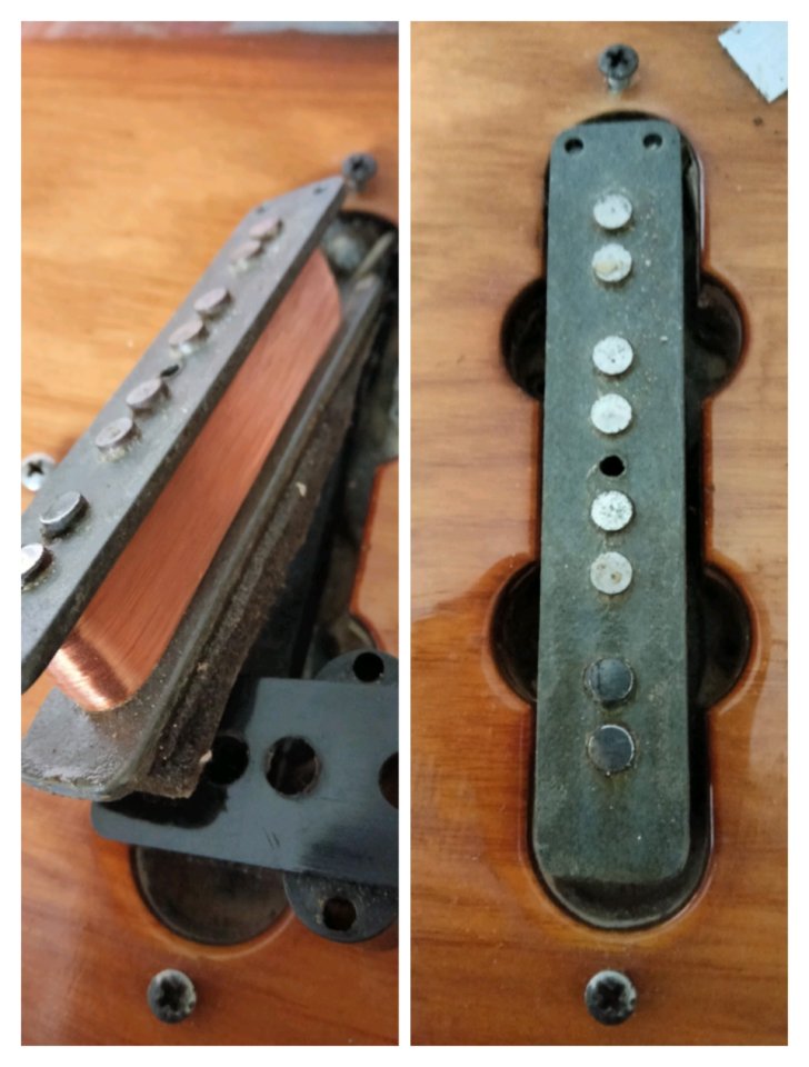 Cuerpo Fender jazz bass