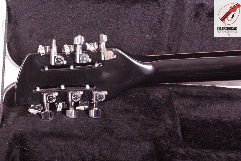 Alquiler Rickenbacker 370-12 (12 cuerdas)