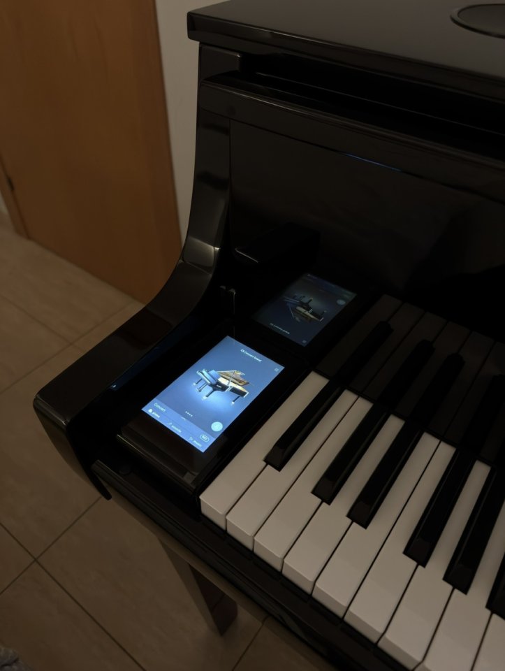 Kawai NV10s