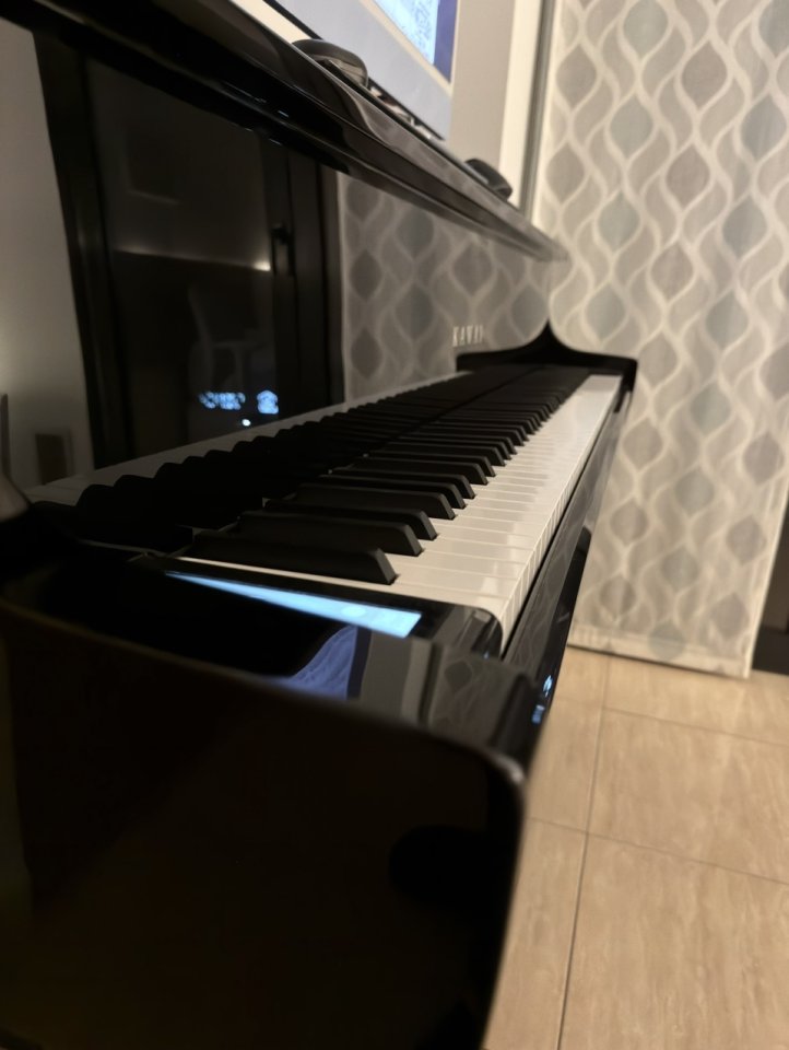 Kawai NV10s