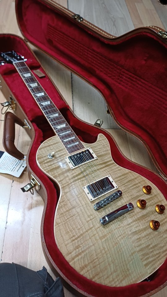 Gibson les paul standard