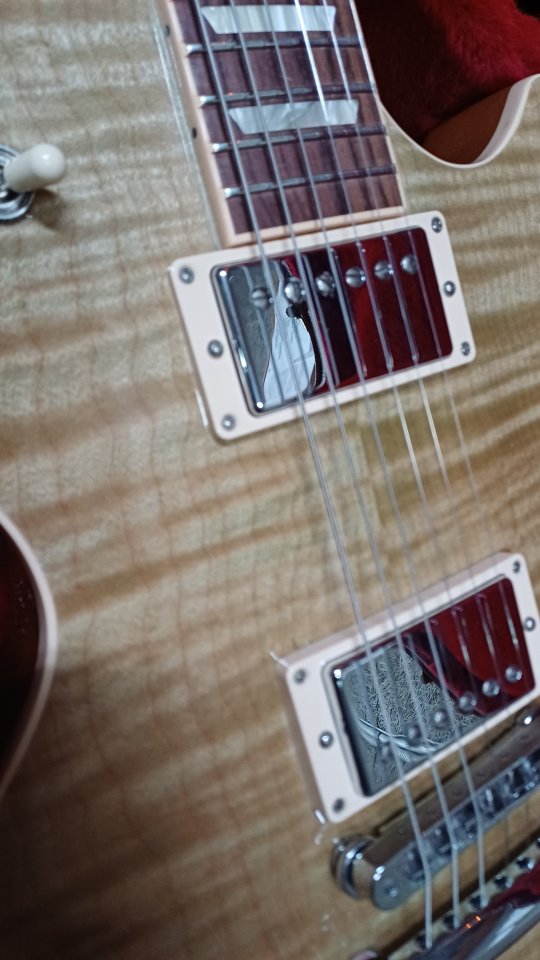 Gibson les paul standard