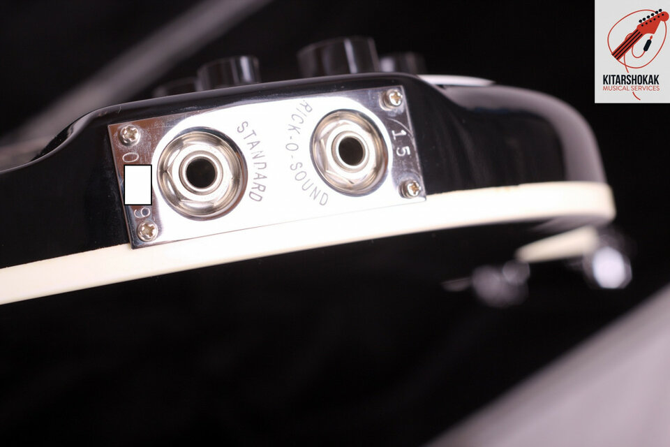 Alquiler Rickenbacker 370-12 (12 cuerdas)