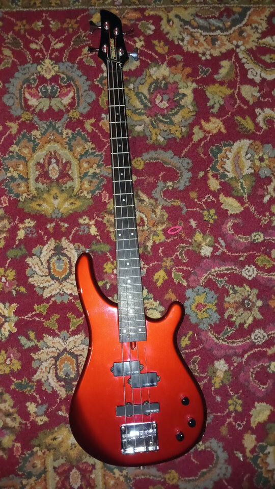 Bajo Fernandes Revolver Bass FRB-60