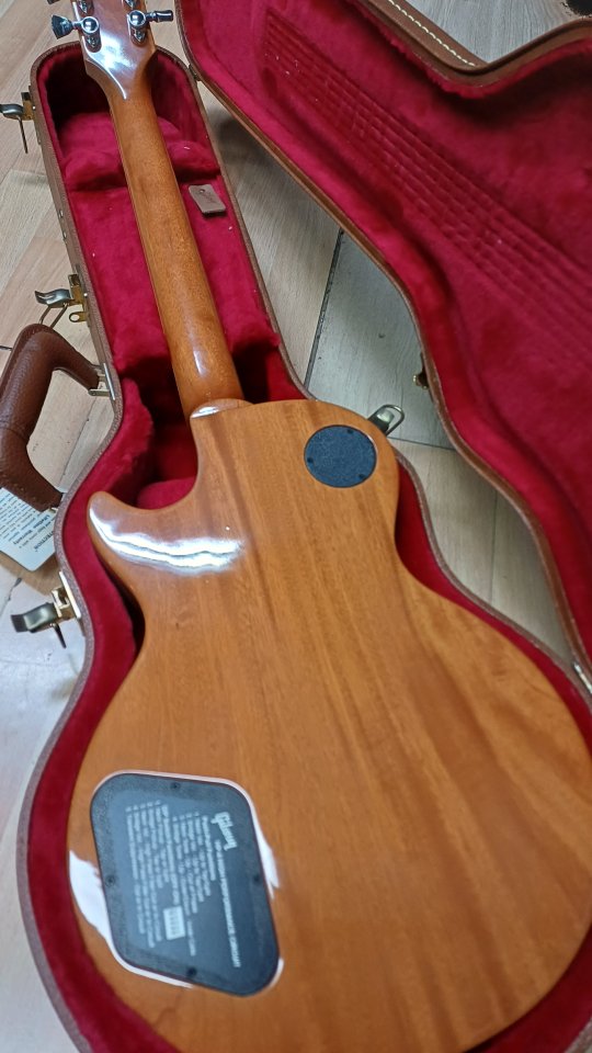 Gibson les paul standard