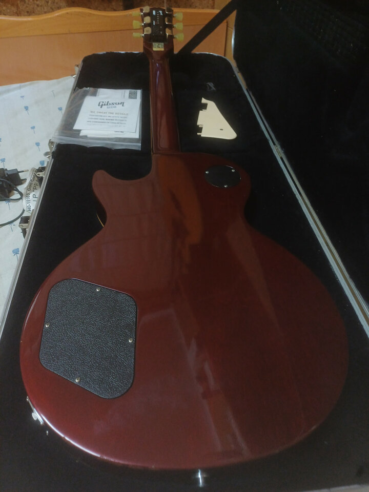 Gibson les paul standard